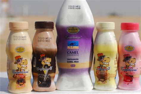 Dubai’s Camelicious sees potential European, US market for camel milk - Green Prophet