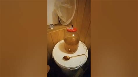 Сироп пчелам #мед #hive #beekeeper #honey #пчеловодство #пчелы #улей # ...