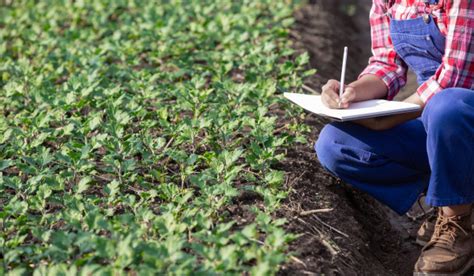 Formation développement Agricole 2025 agriculture et sécurité alimentaire