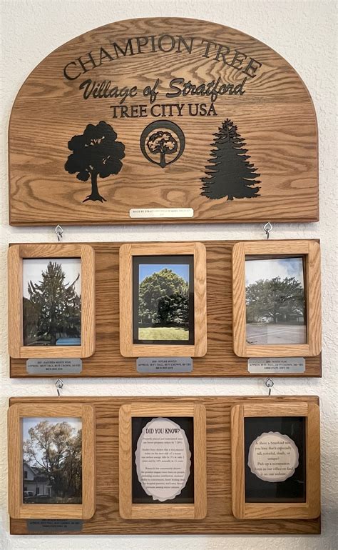 Stratford - Champion Tree Plaque Village of Stratford, Tree City USA