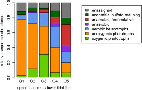 Relative Sequence Abundances Of Functional Groups After Clustering At