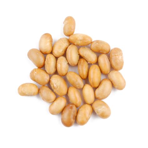 soybean png file png