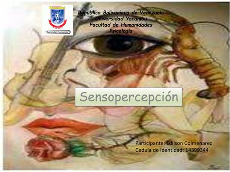 Sensopercepcion Ppt Descarga Gratuita