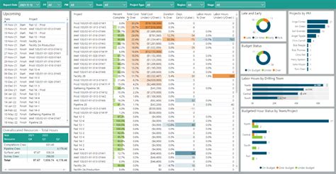 Project Portfolio Dashboard | P6-Reporter