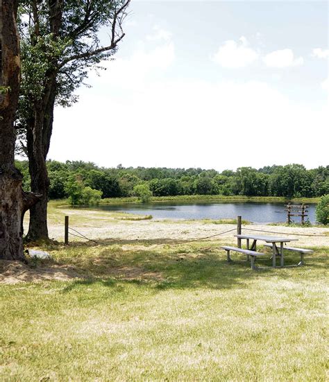 palm beach county gun club jail 3