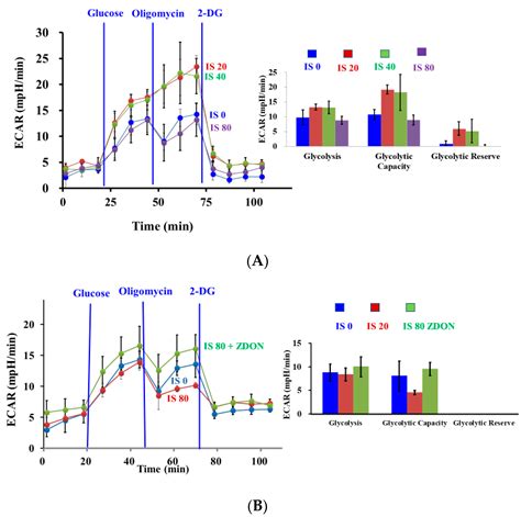 Ijms Free Full Text S Nitrosylation Of Tissue Transglutaminase In Modulating Glycolysis