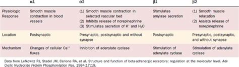 Embryology Of Salivary Glands