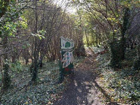 Exploring Juniper Green: Neighborhood Guide and Community Profile 14