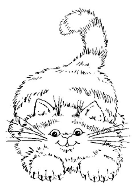 Раскраска пушистая кошка - 77 фото