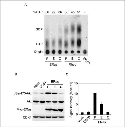 Membrane Localization Of ERas Is Crucial For PI 3 Kinase Activation