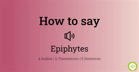 how to pronounce epiphytes in english