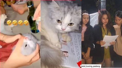 Inilah Wajah 3 Wanita Penyiksa Kucing Yang Diberi Minuman Keras Dan