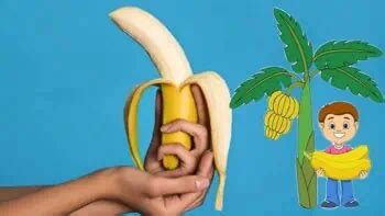 Amazing Benefits Of Bananas How Many Bananas A Day