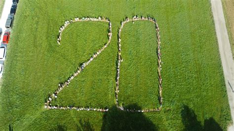 Kindergarten Honigblume feiert 20-jähriges Jubiläum - Grasbrunn Aktuell
