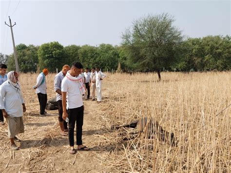 2 Buffaloes Died Due To Electric Shock करंट की चपेट में आने से 2