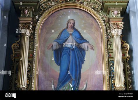 Virgin Mary altarpiece in the Basilica of the Sacred Heart of Jesus in ...