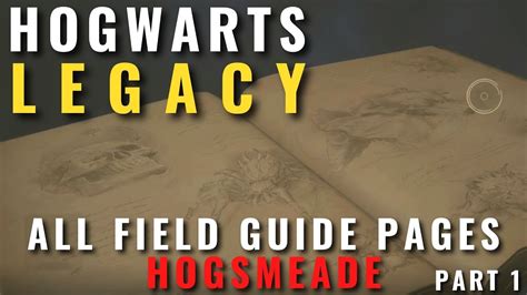 Hogwarts Legacy All Field Guide Pages In Hogsmeade Part 1 Youtube