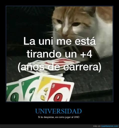 ¡cuánta Razón La Universidad Es Como El Uno