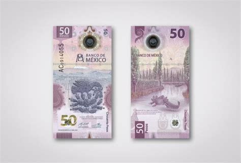 Billetes De 50 Pesos Mexicanos Serie Ab Ajolote 50 000 En Toluca Hot