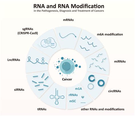 Frontiers Editorial RNA And RNA Modification In The Pathogenesis