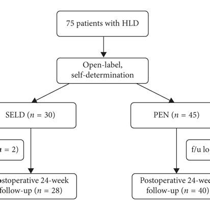 SELD procedure. (a) Insertion of SELD catheter through a needle ...