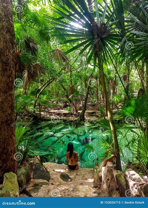 Sacred Cenote Azul in Tulum, Yucatan Peninsula, Mexico Stock Image ...