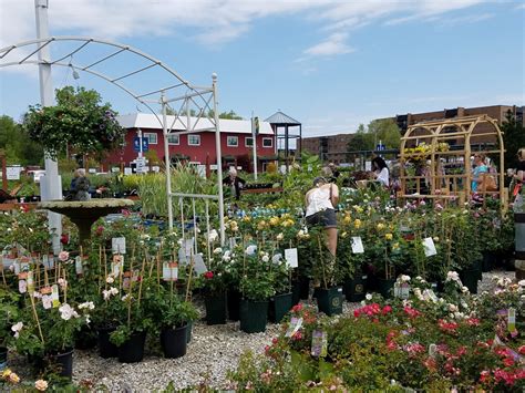 lurvey's garden center 3
