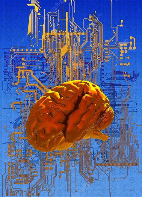 Brain And Circuit Board Illustration Stock Image F