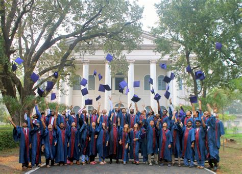 Students throwing graduation caps - PixaHive