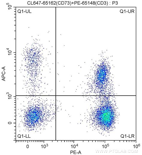 Cd Monoclonal Antibody Ad Coralite Proteintech Tests