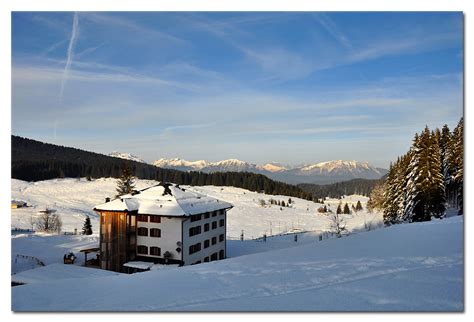 Rifugio Barricata A Quota Metri Sullaltopiano Della Marc Sina