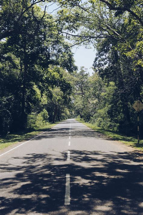 Gray Concrete Road Between Green Trees During Daytime Photo Free Sri