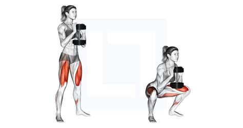 Dumbbell Goblet Squat Guide Benefits And Form