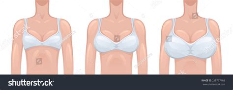 Sexy Naked Women Big Boobs Stock Vectors And Vector Art Shutterstock