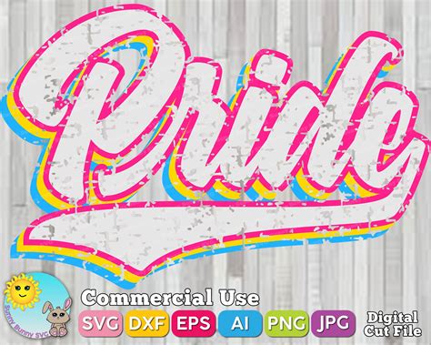 Retro Pansexual Pride Rainbow Svg Pride Svg Bisexual Etsy