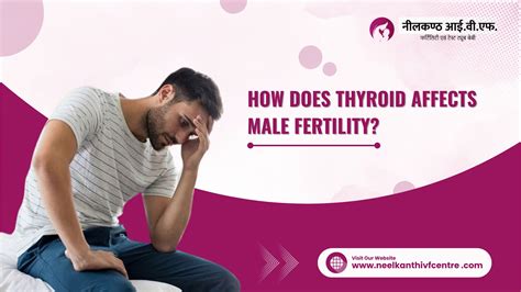 How Does Thyroid Affects Male Fertility Neelkanth Ivf