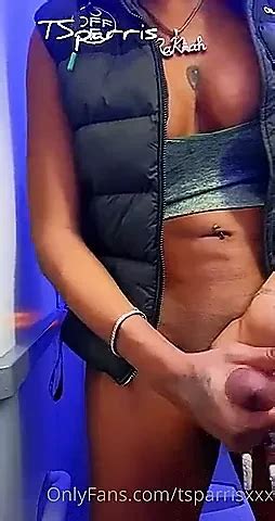 Airplane Bathroom TS Big Cock Shemale Ladyboy Ladyboy Porn XHamster