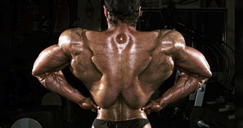 These Bodybuilder's Lats May Be The Most Impressive That We've Seen ...