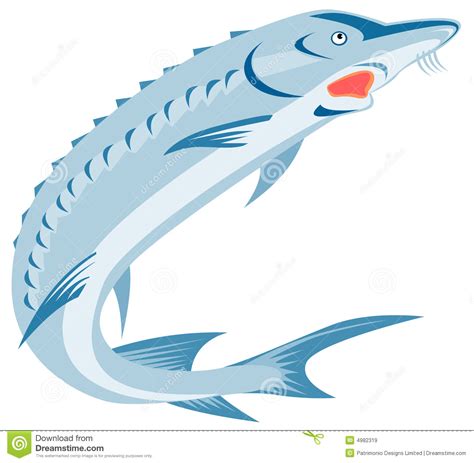 Sturgeon Fish Clipart Panda Free Clipart Images