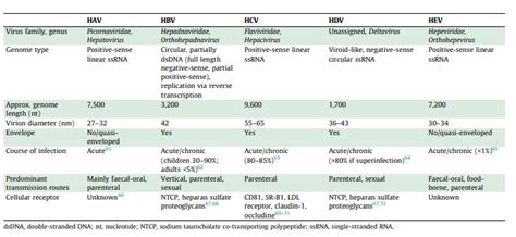 Hepatitis Viruses Lsbio