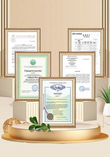 Zion（Shenzhen) Agriculture and Forestry Development Co., Ltd
