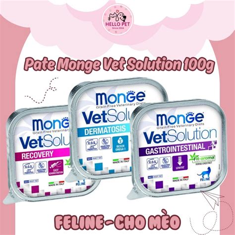 Pate phục hồi sức khỏe trong và sau bệnh cho Mèo Monge Vetsolution ...