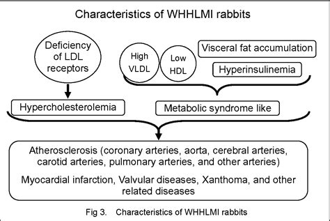 Figure 1 From The Watanabe Heritable Hyperlipidemic Whhl Rabbit Its