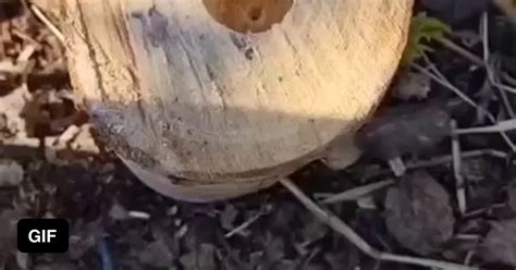 Silver man 😎 - 9GAG