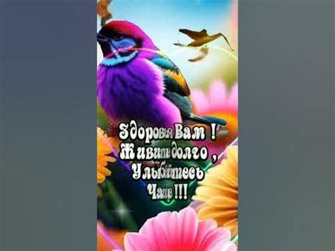 Снова Утро наступает... Доброе утро ☕🌹 ️ - YouTube