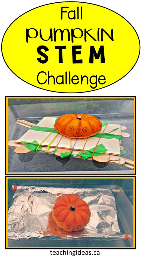 Fall Stem Activities For Middle School Artofit