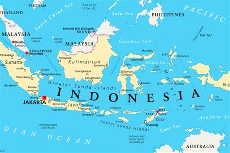 Grains Australia launches program in Indonesia | World Grain