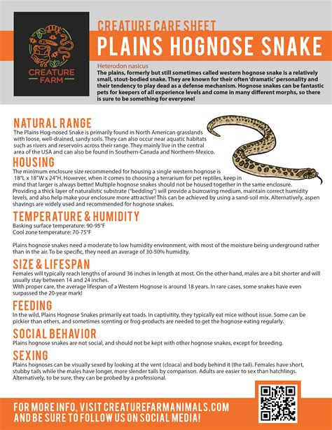 Hognose Snakes Creature Farm