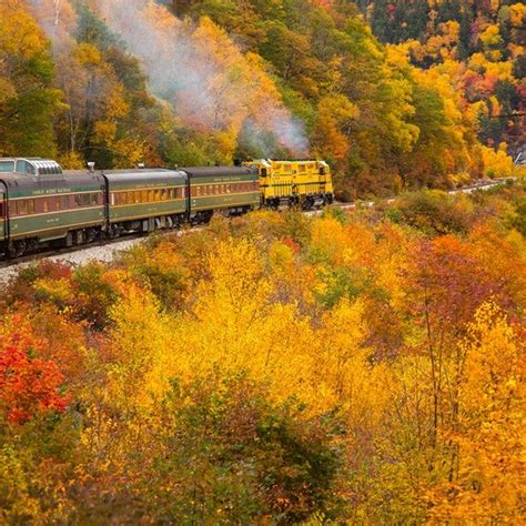 13 Fall Foliage Train Rides for Prime Leaf Peeping | Train rides, Leaf peeping, Fall foliage