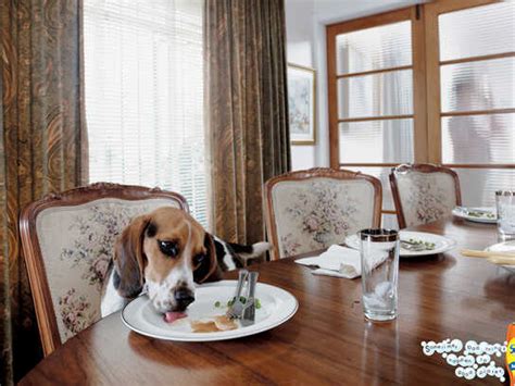 Newstalk 1010 Sex Offender Polar Cap Palin Knitting Electric Car B Ads Of The World